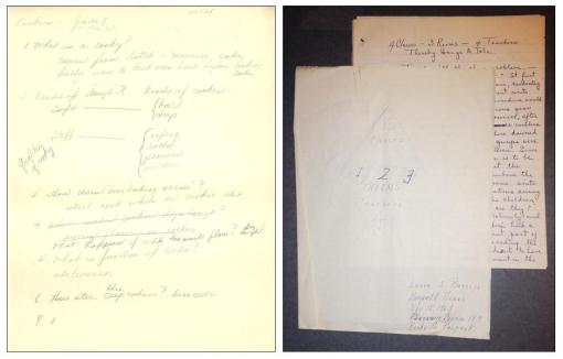 Left: notes on "Cookies, Grade 9." Right: "Four Classes, Three Rooms, Four Teachers," a 1963 report on dealing with overcrowding.